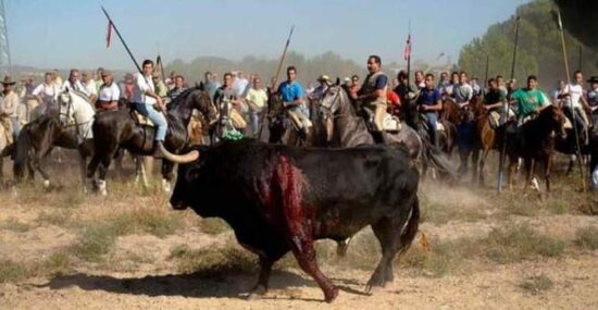 El Toro de la Vega una celebración cruel