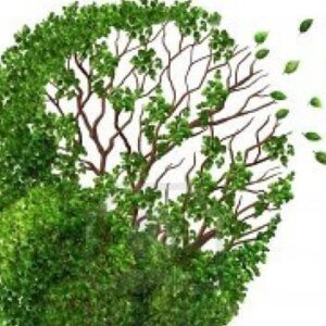 Alzheimer