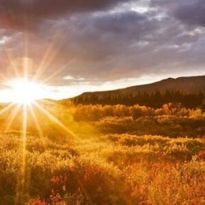 El sol siempre sale, aunque a veces lo creamos imposible
