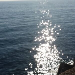 Parecen estrellas bailando