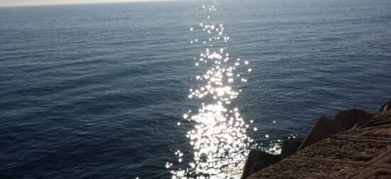 Parecen estrellas bailando