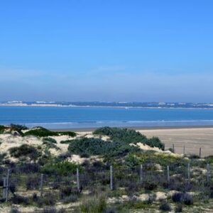 Los Toruños, entre el Puerto de Sta. María y Puerto Real