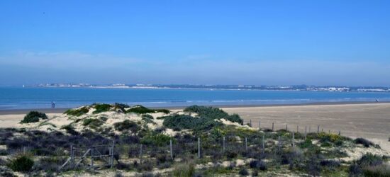 Los Toruños, entre el Puerto de Sta. María y Puerto Real
