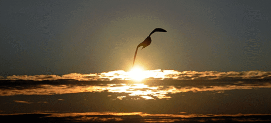 Volar por encima de las nubes