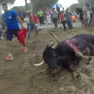 El asesinato de unos cobardes