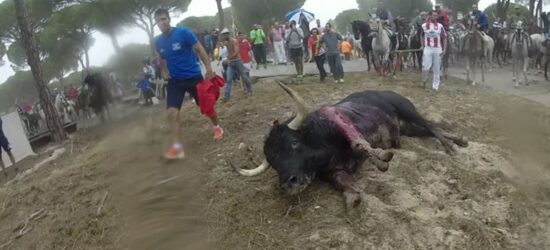 El asesinato de unos cobardes