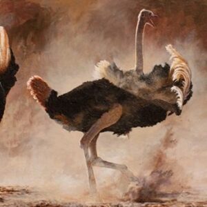 Hadara, bebé criado por avestruces en eldesierto