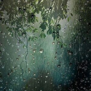 La lluvia también puede ser tu aliada