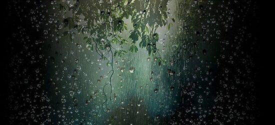 La lluvia también puede ser tu aliada