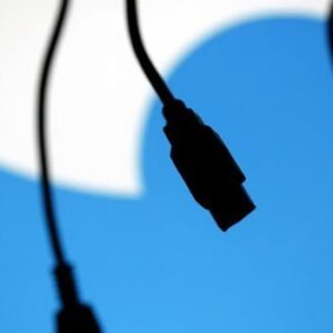 El pajarillo de Twitter se llama Larry