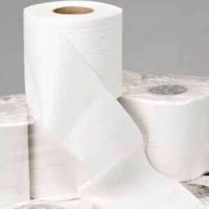 El papel higiénico antes de ser inventado