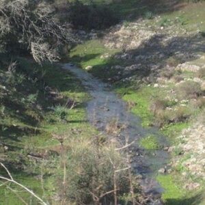 El arroyo que separaba Pinto de Valdemoro
