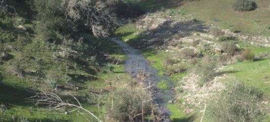 El arroyo que separaba Pinto de Valdemoro