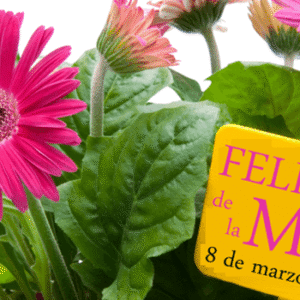Feliz ocho de marzo, el Día de la Mujer