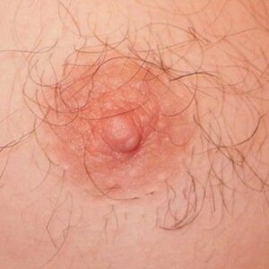 Por qué tienen pezones los hombres