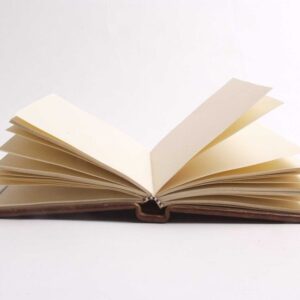 Carmen, un libro en blanco
