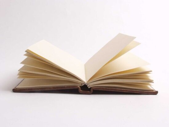 Carmen, un libro en blanco