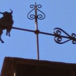 Una tarde de invierno al sur del sur