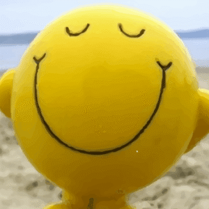 La Felicidad son pequeños instantes