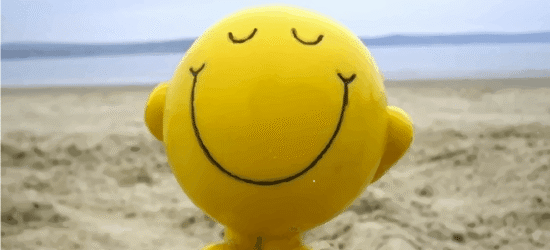 La Felicidad son pequeños instantes