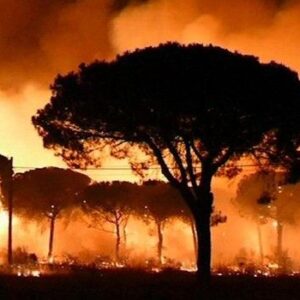 El incendio en Doñana