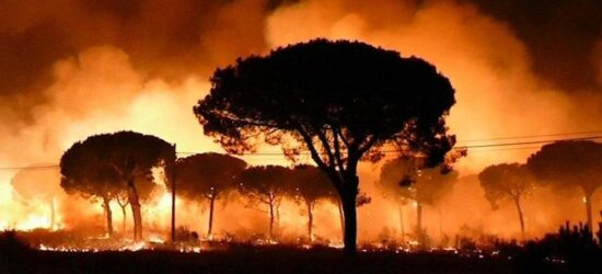El incendio en Doñana