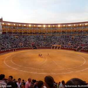Hacer un brindis al sol