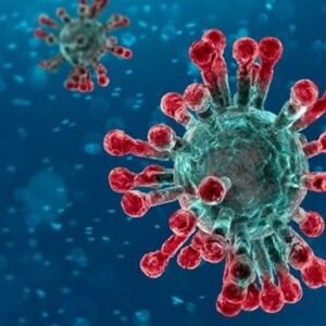 El Coronavirus